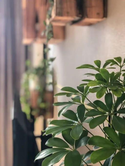 Ferienwohnung Stylish Getaway In Prime Bratislava Location - By The Danube And Old Town Exterior foto